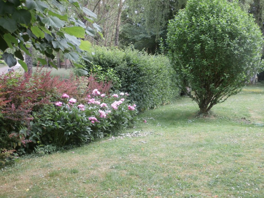 La Parisienne Des Amognes Bed & Breakfast Montigny-aux-Amognes Exterior photo